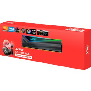 ADATA DIMM 16 GB DDR5-6000 (1x 16 GB), Arbeitsspeicher - AX5U6000C3016G-CCARGY technikbar