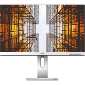 AOC X24P1/GR, LED-Monitor technikbar