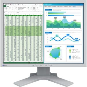 Eizo FlexScan S2134, LED-Monitor - S2134-GY technikbar