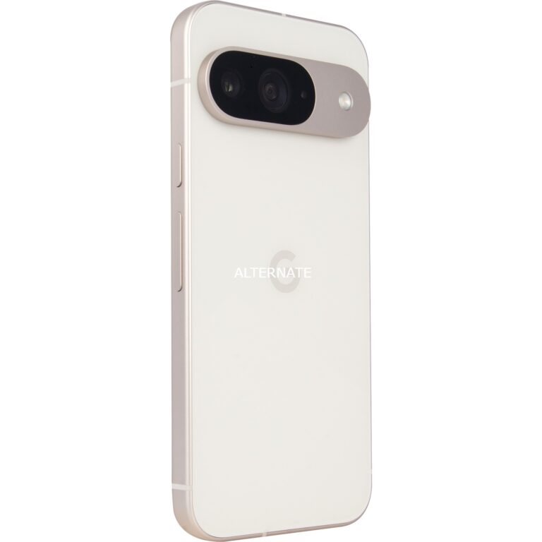 Google Pixel 9 256GB, Handy technikbar