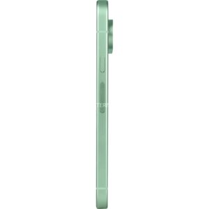 Google Pixel 9 256GB, Handy technikbar
