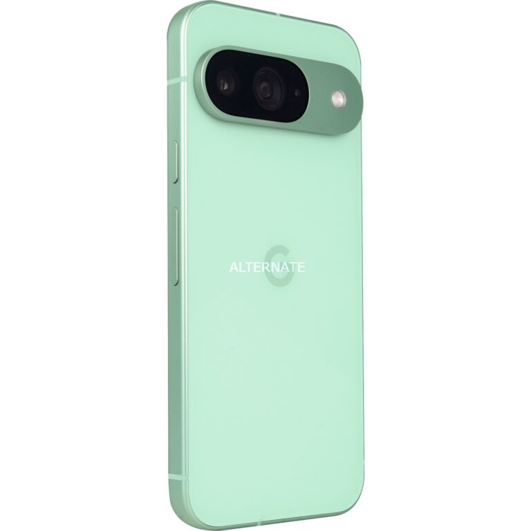 Google Pixel 9 256GB, Handy technikbar