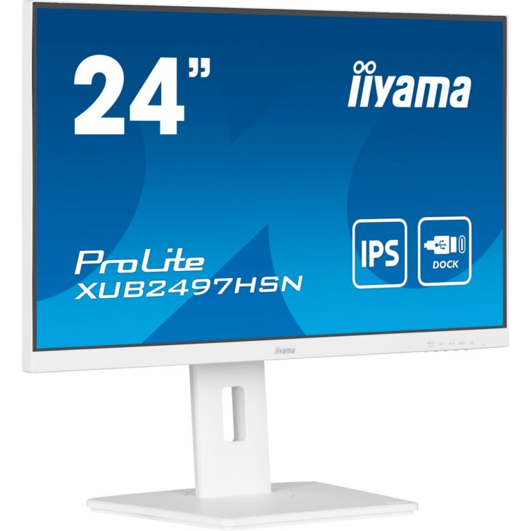Iiyama ProLite XUB2497HSN-W2, LED-Monitor technikbar