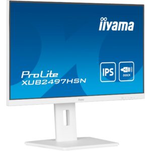 Iiyama ProLite XUB2497HSN-W2, LED-Monitor technikbar
