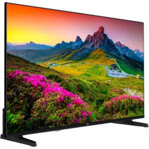 JVC LT-50VU3455, LED-Fernseher technikbar