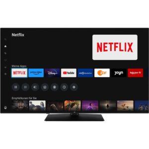 JVC LT-65VUQ3455, QLED-Fernseher technikbar