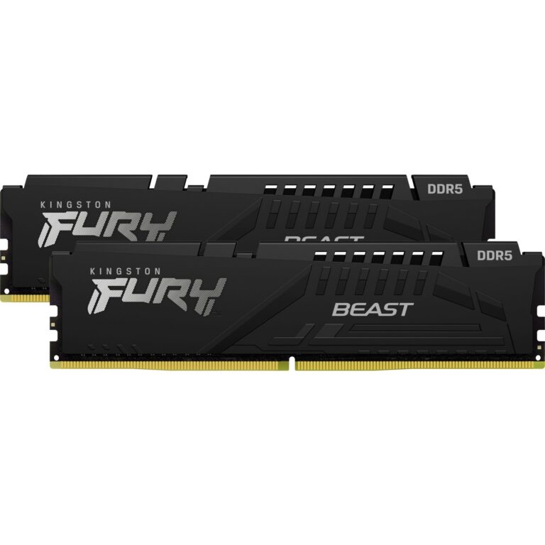  FURY Beast