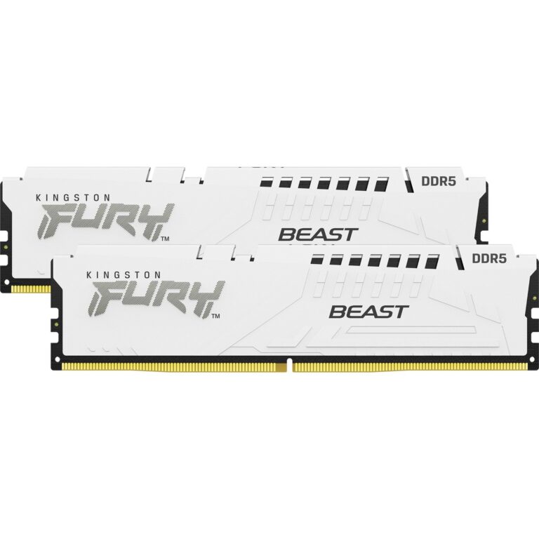  FURY Beast