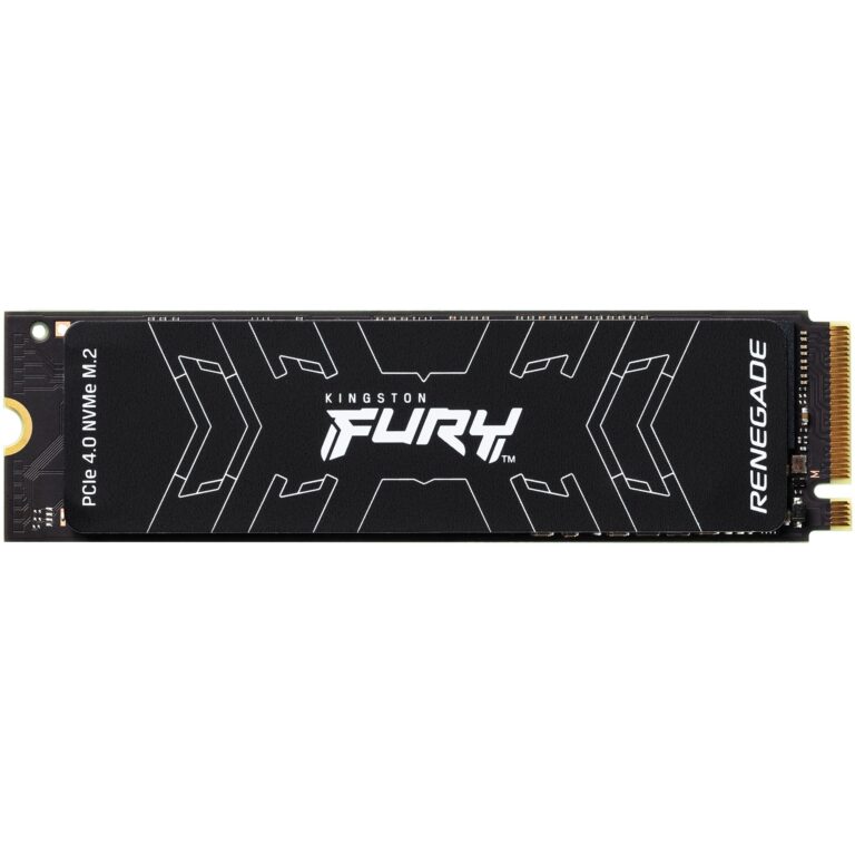 Kingston FURY Renegade 500 GB, SSD