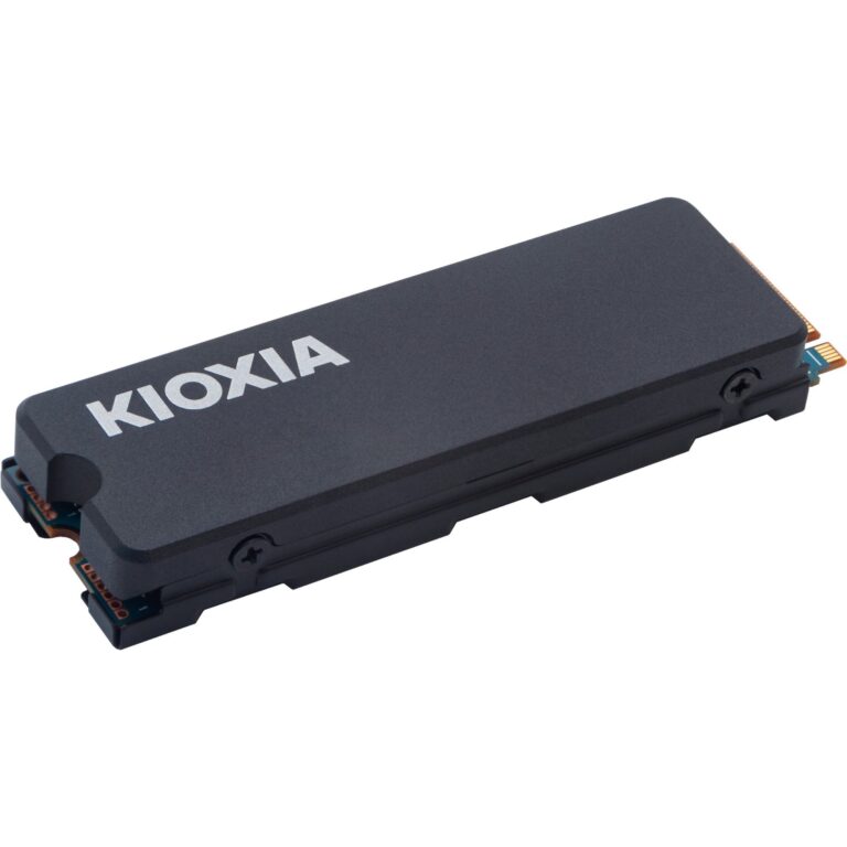 Kioxia Exceria mit Heatsink 1 TB, SSD