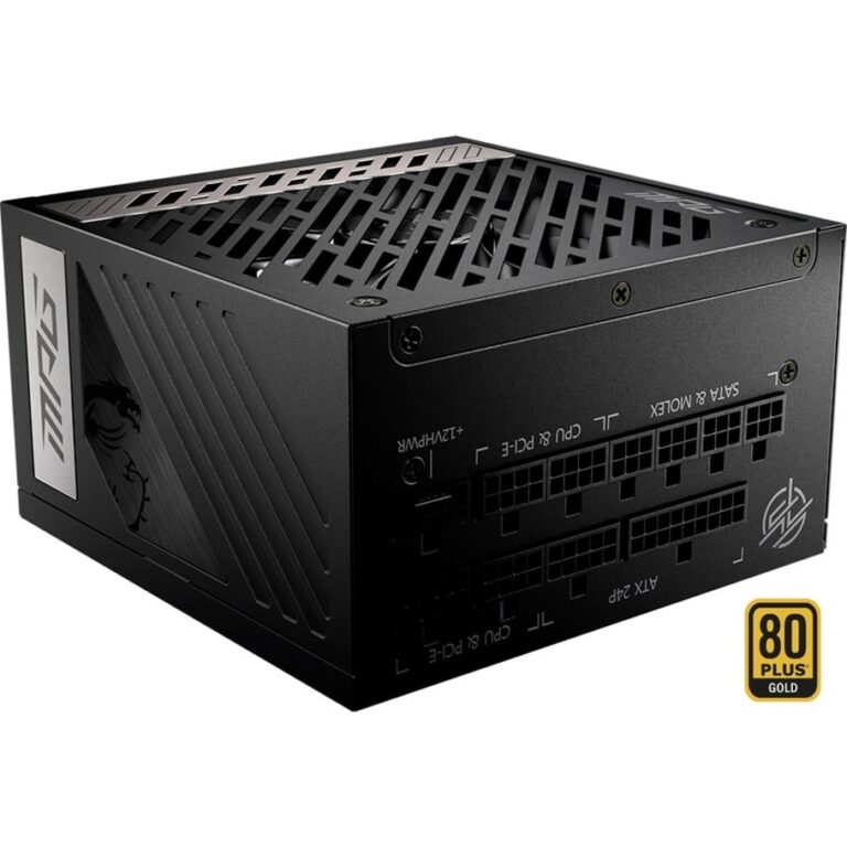 MSI MPG A1000G PCIE5 1000W, PC-Netzteil - 306-7ZP7C11-CE0 technikbar