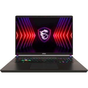 MSI Vector 17 HX A14VHG-1009, Gaming-Notebook - 0017S1-1009 technikbar