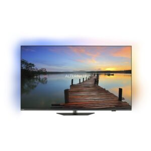 Philips The One 65PUS8919/12, LED-Fernseher technikbar