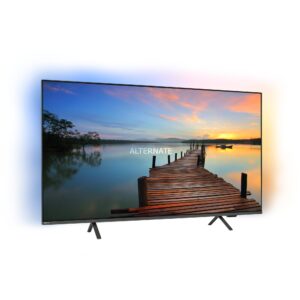 Philips The Xtra 85PML9009/12, LED-Fernseher technikbar