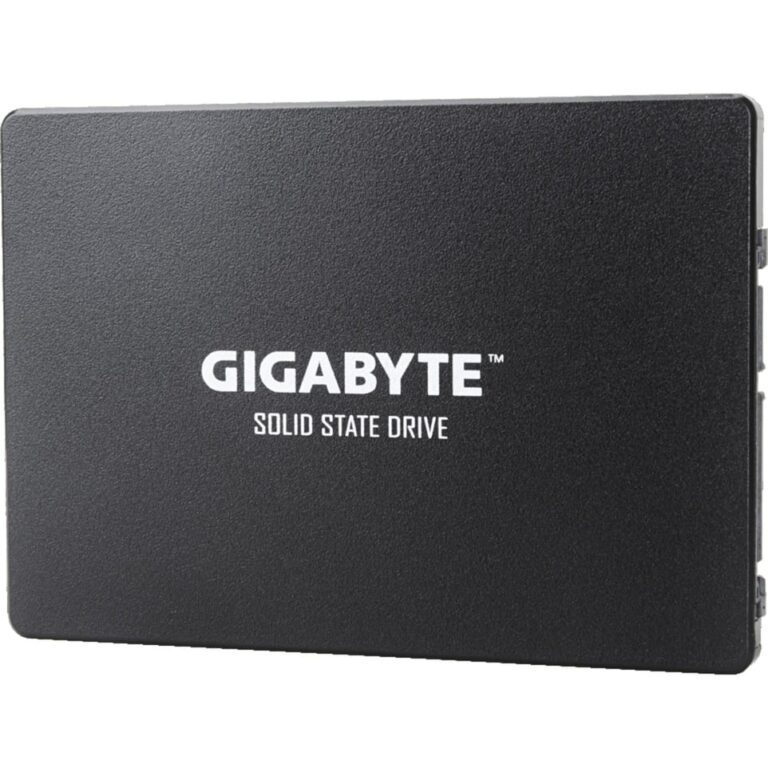 Gigabyte SSD  256 GB - GP-GSTFS31256GTND technikbar