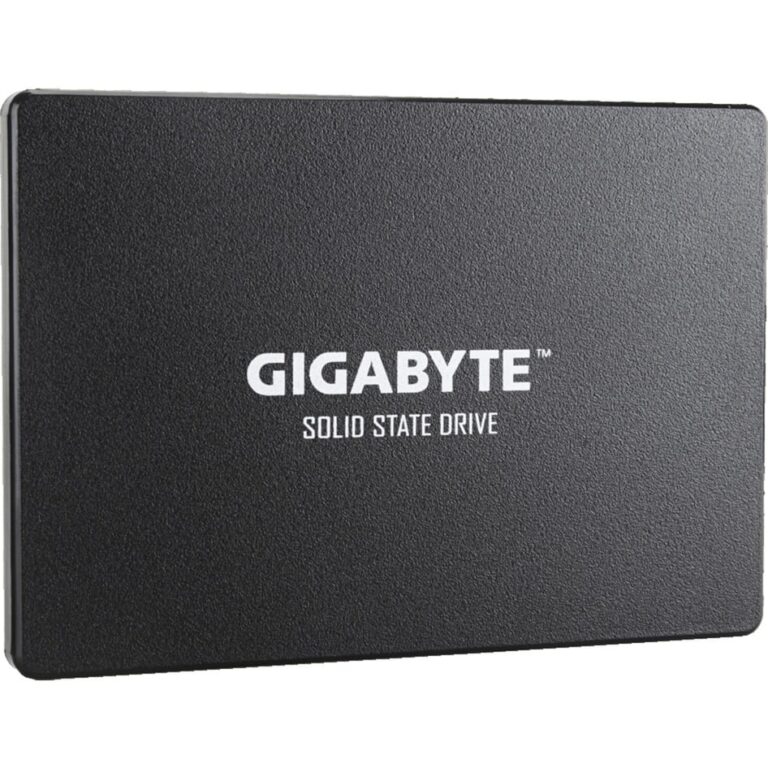 Gigabyte SSD  256 GB - GP-GSTFS31256GTND technikbar