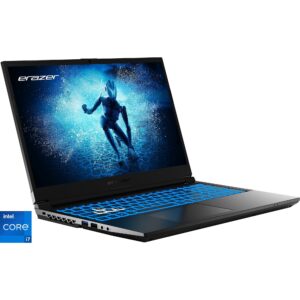 Medion Deputy P60 Core (30039216), Gaming-Notebook technikbar