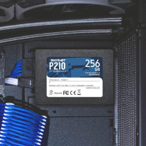 Patriot P210 256 GB, SSD - P210S256G25 technikbar