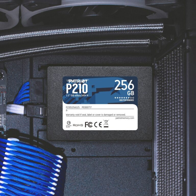 Patriot P210 256 GB, SSD - P210S256G25 technikbar