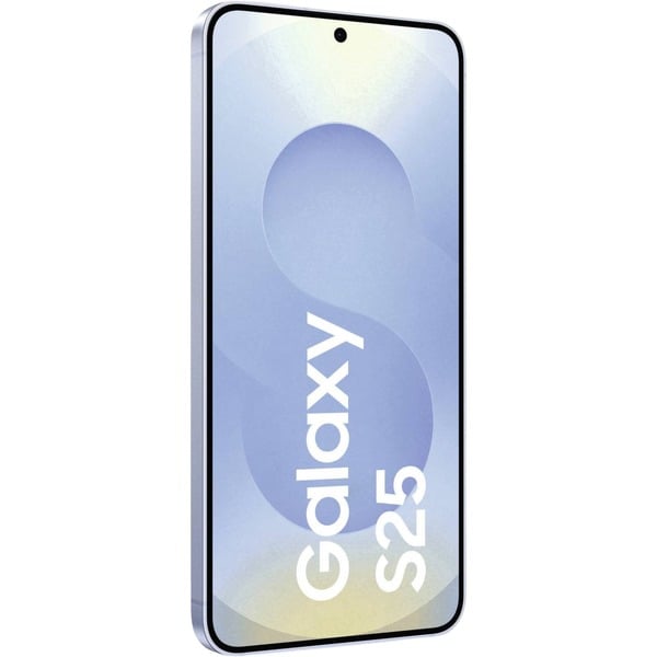 Samsung Galaxy S25 256GB, Handy
