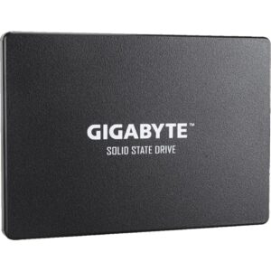Gigabyte SSD 1TB - GP-GSTFS31100TNTD technikbar