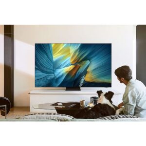 Samsung GQ77S95FATXZG, OLED-Fernseher technikbar