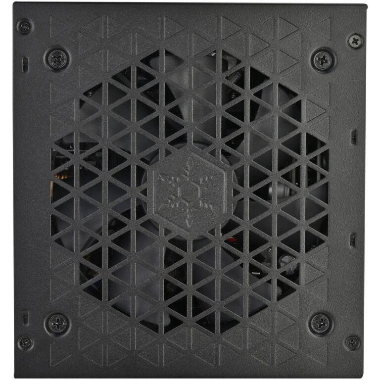 Silverstone Triton 1000Rz, PC-Netzteil - SST-TR1000R-GM technikbar