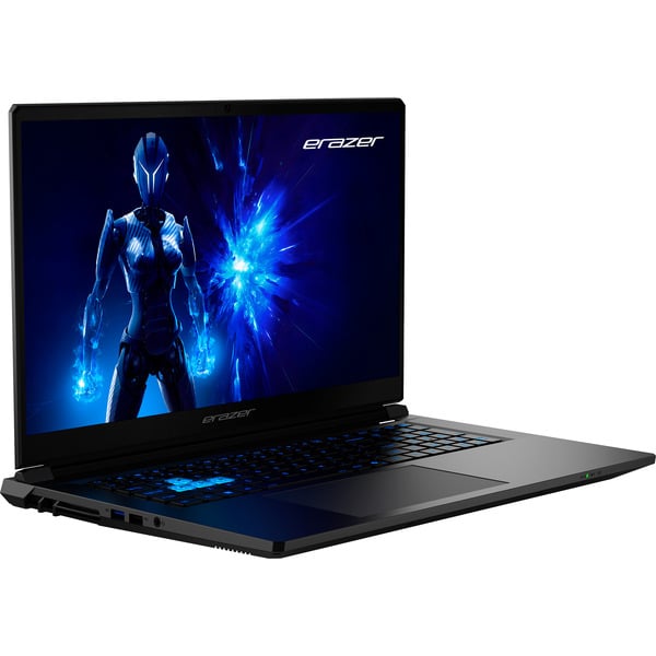 Medion ERAZER Defender 17 P1 (MD62757), Gaming-Notebook