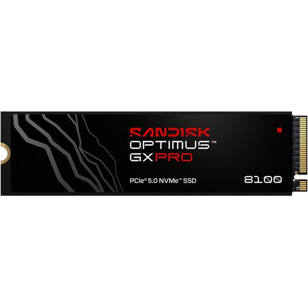 Sandisk Optimus GX PRO 2 TB, SSD