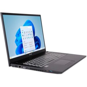 TERRA MOBILE 1716R i5-1334U W11, Notebook - 1220855 technikbar